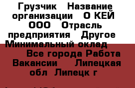 Грузчик › Название организации ­ О’КЕЙ, ООО › Отрасль предприятия ­ Другое › Минимальный оклад ­ 25 533 - Все города Работа » Вакансии   . Липецкая обл.,Липецк г.